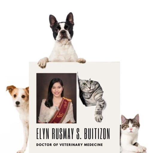 Online Vet